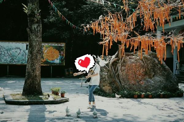 要久久爱：丁也公开追求黄瀛子，蒋翼慌了，当众说出18年暗恋