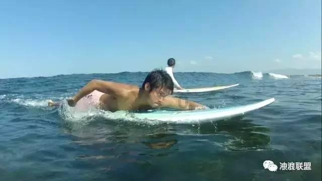 救援鹦鹉