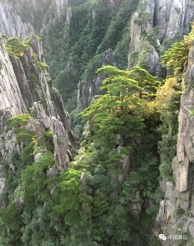 方程式飙车